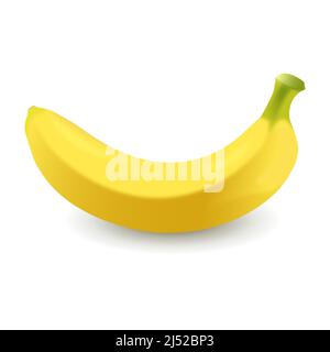 Illustrazione realistica della banana isolata su sfondo bianco. Illustrazione vettoriale. EPS10. Illustrazione Vettoriale