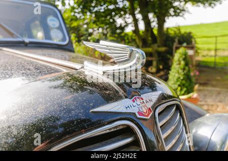Ornamento del cofano e logo di un 1938 Hillman Minx nero Foto Stock