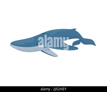 Illustrazione dettagliata di Swimming Blue Whale Vector Illustrazione Vettoriale