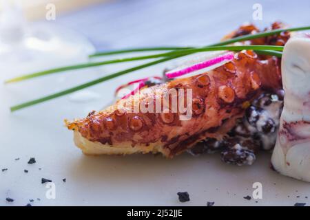 Polpo alla griglia con fagioli neri su un piatto bianco in un ristorante a Menton, Francia. Squisita cucina francese. Riposati sulla costa azzurra. Foto Stock