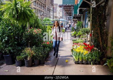 Passeggiata panoramica nel quartiere dei fiori, 28th Street, Manhattan, New York, NY, USA. Foto Stock