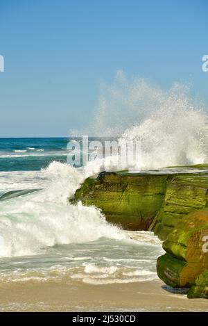 Onde e surf si infrangono e fergono rocce verdi ricoperte di alghe lungo la spiaggia in una luminosa giornata di sole a Windansea Beach, la Jolla, California, USA Foto Stock