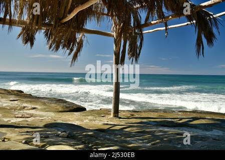 Punto di riferimento storico Windansea Surf Shack adiacente alle onde e surf lungo la spiaggia in una luminosa giornata di sole a Windansea Beach, la Jolla, California, USA Foto Stock