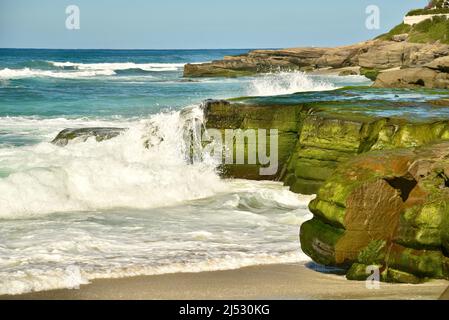 Onde e surf si infrangono e fergono rocce verdi ricoperte di alghe lungo la spiaggia in una luminosa giornata di sole a Windansea Beach, la Jolla, California, USA Foto Stock