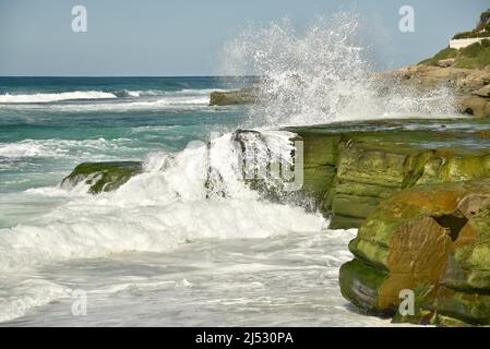 Onde e surf si infrangono e fergono rocce verdi ricoperte di alghe lungo la spiaggia in una luminosa giornata di sole a Windansea Beach, la Jolla, California, USA Foto Stock