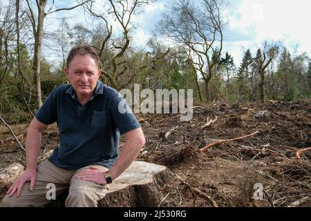 Dr Ian Rotherham a Rough Standhills Wood a Whirlow, che è stato devastato dal lavoro forestale Foto Stock