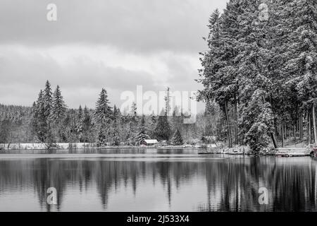 Neve sul paesaggio intorno al lago di Fawn dopo una insolita tempesta di neve di dicembre sulla penisola olimpica, stato di Washington, Stati Uniti d'America [Nessuna pubblicazione di proprietà; editoriale Foto Stock