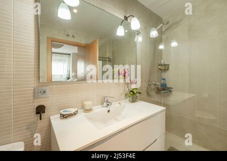 Bagno con specchio senza cornice, lampade con vetri, fiore in un angolo e cabina doccia con schermo in vetro Foto Stock