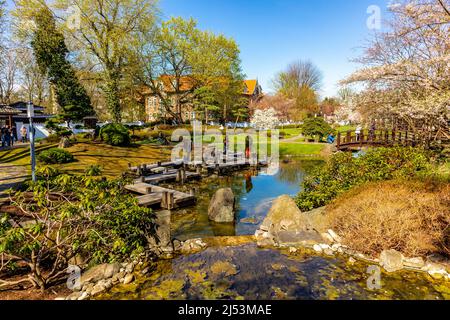 Viaggio di scoperta in Estremo Oriente nel Giardino Giapponese di Bad Langensalza - Turingia - Germania Foto Stock