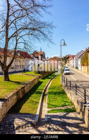 Viaggio di scoperta in Estremo Oriente nel Giardino Giapponese di Bad Langensalza - Turingia - Germania Foto Stock