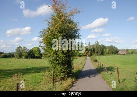 Aquisgrana Eilendorf: Landschaft Foto Stock