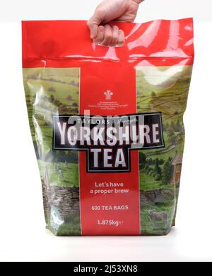 Tè dello Yorkshire. Confezione extra large da 600 bustine di tè isolate su bianco. Stafford, Regno Unito, 19 aprile 2022. Foto Stock