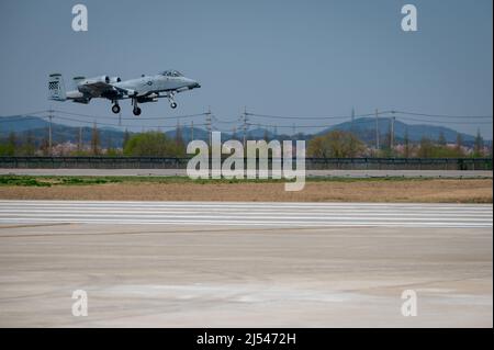 Un A-10 Thunderbolt II atterra sulla linea del flightline alla base aerea di Osan, Repubblica di Corea, 15 aprile 2022. La A-10 "Warthog" è il primo aereo dell'Aeronautica militare progettato specificamente per fornire un supporto aereo stretto alle forze del suolo. (STATI UNITI Air Force foto di Tech Sgt. Zachariah Lopez) Foto Stock