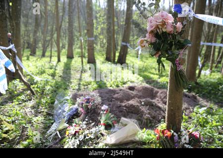 Scena del crimine, tomba poco profonda con fiori nel bosco Foto Stock