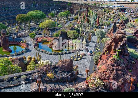 Jardin de Cactus, giardino di cactus Cesar Manrique, Isole Canarie, Lanzarote Foto Stock