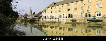 Narcisi lungo il fiume Welland, Stamford Town, Lincolnshire County, Inghilterra, Regno Unito Foto Stock