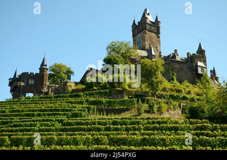 Reichsburg Cochem a Hunsrück si trova sui verdi vigneti sotto il cielo blu con tutte le sue torri castello Foto Stock