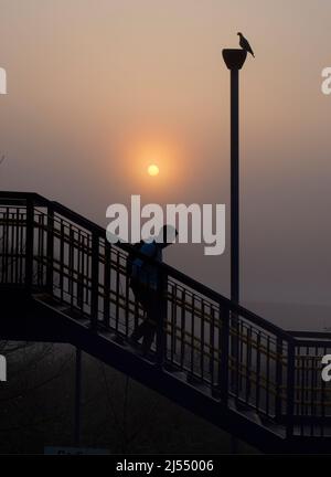 Anche la mondana può essere trasformata dalla bellezza al momento e nel luogo giusti. Qui vediamo il ponte sui binari della nostra locale Radley Village Railway Foto Stock