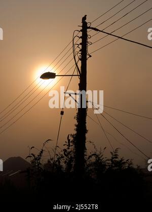 Qui vediamo palo che porta una luce di strada e cavi assortiti sulla mia passeggiata attraverso Lower Radley fino al Tamigi; è tutto illuminato da una sorgente luminosa Foto Stock