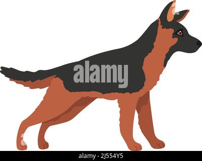 Pastore giovane. Cane da polizia cartoon, scetrode tedesco, illustrazione vettoriale isolato su sfondo bianco Illustrazione Vettoriale