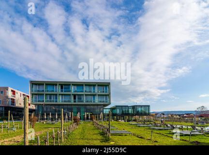 Langenlois: Loisium Hotel und Spa a Waldviertel, Niederösterreich, bassa Austria, Austria Foto Stock