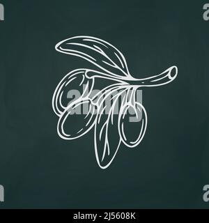 Olive su un ramo sottili linee bianche su uno sfondo textural scuro - illustrazione vettoriale Illustrazione Vettoriale