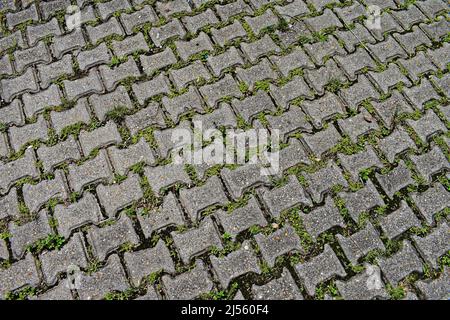 Blocchi di pavimentazione a motivi geometrici, pavimento in mattoni di cemento Foto Stock