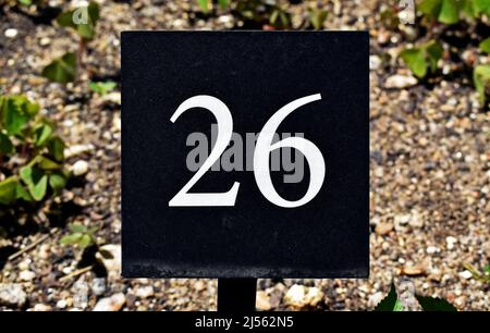 Numero 26 stampato su piastra metallica Foto Stock