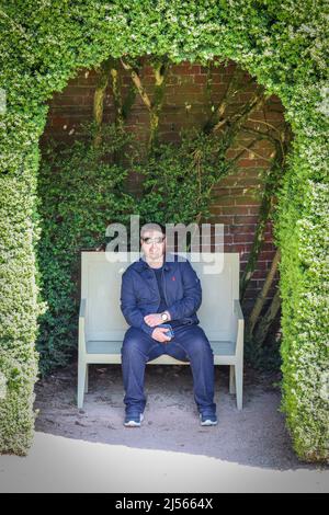 Uomo seduto su una panca giardino / siepe ad arco / Powis Castello e Giardino Foto Stock