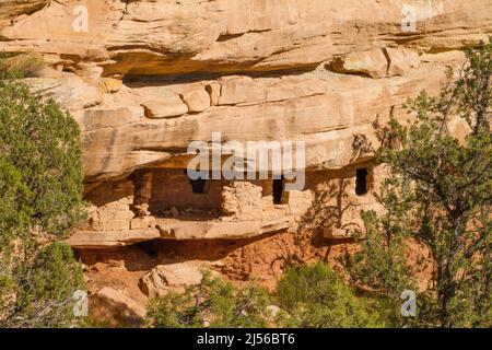 Anancestrale Pueblo rovine degli Indiani d'America nel Racapture Canyon, vicino Blanding, Utah. Costruito tra il 700 d.C. e il 1300 d.C., in quel periodo furono abbandonati Foto Stock