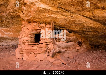 Una piccola scogliera che sorge nelle rovine di Owl Creek Canyon nel monumento nazionale Bears Ears nel sud-est dello Utah. Il canyon di Owl Creek si snoda nel pesce Foto Stock