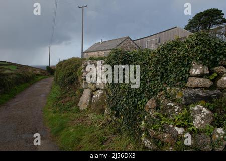 Narrow Lane, Zennor, Cornovaglia, Inghilterra, Regno Unito Foto Stock