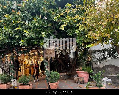 Positano, Italia. Boutique di abbigliamento sotto un impressionante ficus albero. Foto Stock