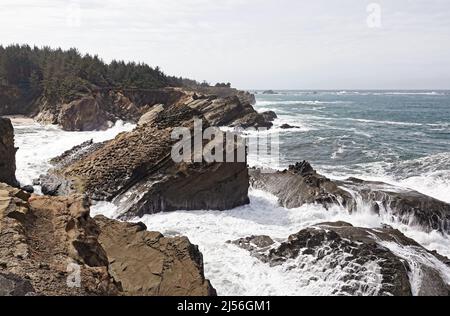 La costa rocciosa dello Shore Acres state Park lungo la costa dell'Oregon Pacific, vicino a Coos Bay, Oregon Foto Stock