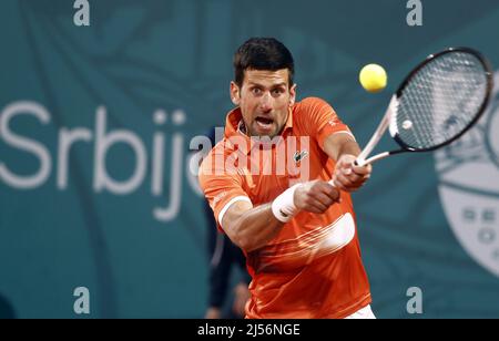 Belgrado. 20th Apr 2022. Il Novak Djokovic della Serbia restituisce la palla durante una partita singola maschile contro il Laslo Djere della Serbia al torneo della serie ATP 250 del Serbia Tennis Open a Belgrado, in Serbia, il 20 aprile 2022. Credit: Predrag Milosavljevic/Xinhua/Alamy Live News Foto Stock