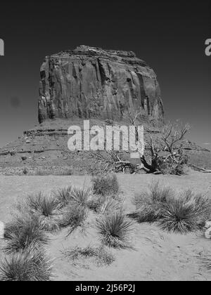 Monument Valley, Arizona, nella Navajo Indian Nation, vicino all'angolo nord-orientale del confine con lo Utah, Arizona. Oljato - Monumento Valle Foto Stock