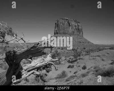 Monument Valley, Arizona, nella Navajo Indian Nation, vicino all'angolo nord-orientale del confine con lo Utah, Arizona. Oljato - Monumento Valle Foto Stock