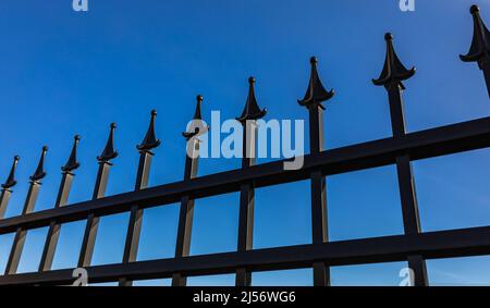 Particolare di recinzione in ferro battuto. Porta decorativa in acciaio contro il cielo blu. Foto di strada, nessuno, fuoco selettivo. Foto Stock