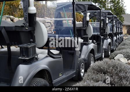 Golf cart allineati su un campo da golf in British Columbia, Canada Foto Stock