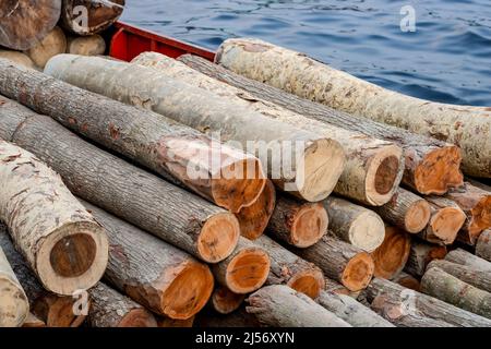 Tronchi di alberi a fette su un'imbarcazione da trasporto primo piano Foto Stock