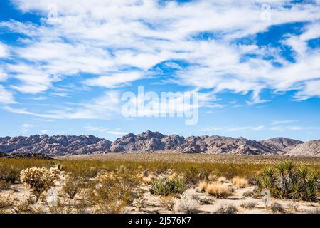 Indian Cove, Joshua Tree National Park, California, USA. Foto Stock
