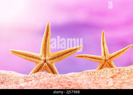 Due stelle marine arancioni sulla sabbia con tramonto. Сoncept di spiaggia, vacanza, viaggio. Spazio di copia Foto Stock