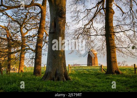 Mulino a vento Tysoe sulla collina di Windmill nella luce del sole primaverile di mattina presto. Upper Tysoe, Warwickshire, Inghilterra Foto Stock