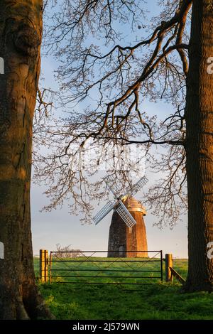 Mulino a vento Tysoe sulla collina di Windmill nella luce del sole primaverile di mattina presto. Upper Tysoe, Warwickshire, Inghilterra Foto Stock