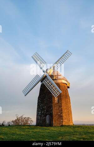 Mulino a vento Tysoe sulla collina di Windmill nella luce del sole primaverile di mattina presto. Upper Tysoe, Warwickshire, Inghilterra Foto Stock