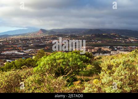 Vista dal Mirador de San Roque appena fuori dalla città di San Cristóbal de la Laguna nella provenza di Santa Cruz, nel nord delle Isole Canarie di Tenerife Foto Stock