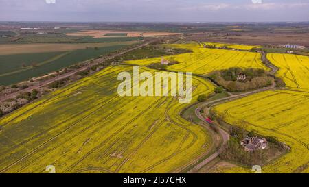 Woodwalton, Regno Unito. 19th Apr 2022. St. Andrew's Church a Woodwalton, con campi di colza gialli intorno a Woodwalton, Cambridgeshire, Regno Unito, il 19 aprile 2022. Credit: Paul Marriott/Alamy Live News Foto Stock