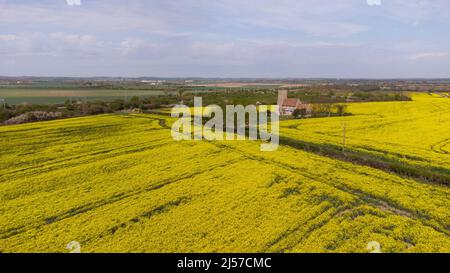 Woodwalton, Regno Unito. 19th Apr 2022. St. Andrew's Church a Woodwalton, con campi di colza gialli intorno a Woodwalton, Cambridgeshire, Regno Unito, il 19 aprile 2022. Credit: Paul Marriott/Alamy Live News Foto Stock