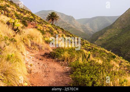 Escursioni da Teguesta a Bajamar sulle montagne di Anaga visitando Mesa de Tejina nel nord di Tenerife Foto Stock