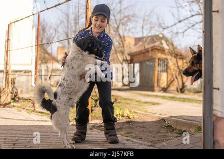 bambina che balla con un cane Foto Stock